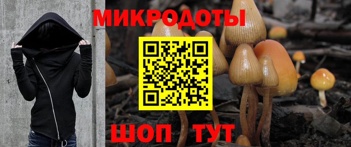 Галлюциногенные грибы прущие грибы Михайловка